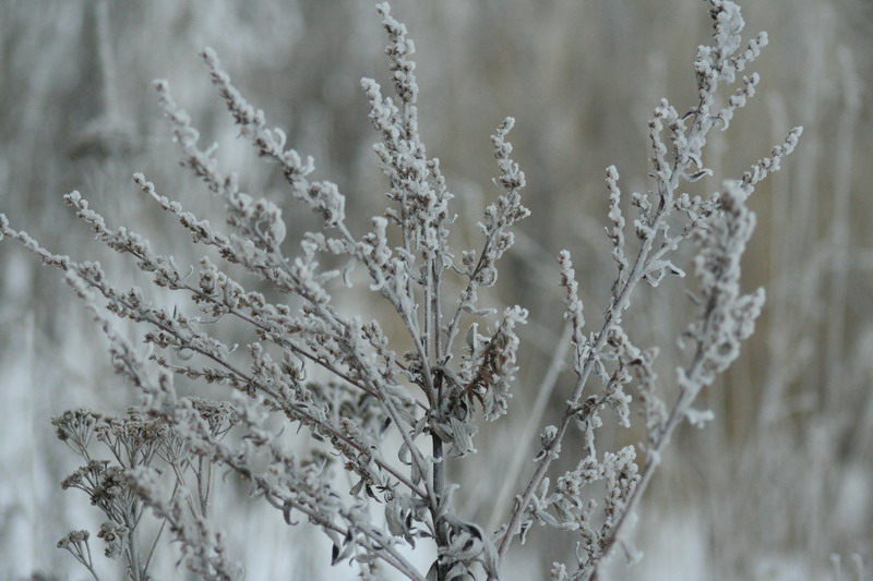 IMG_1721.jpg1.jpg"%20height="533"%20width="800